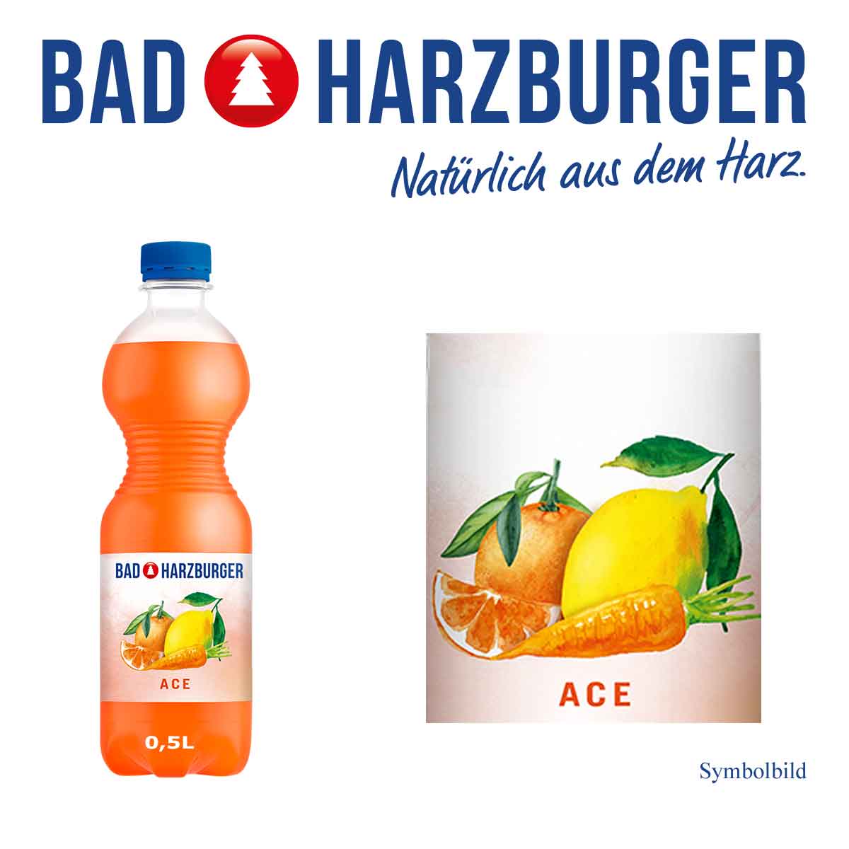 Bad Harzburger ACE